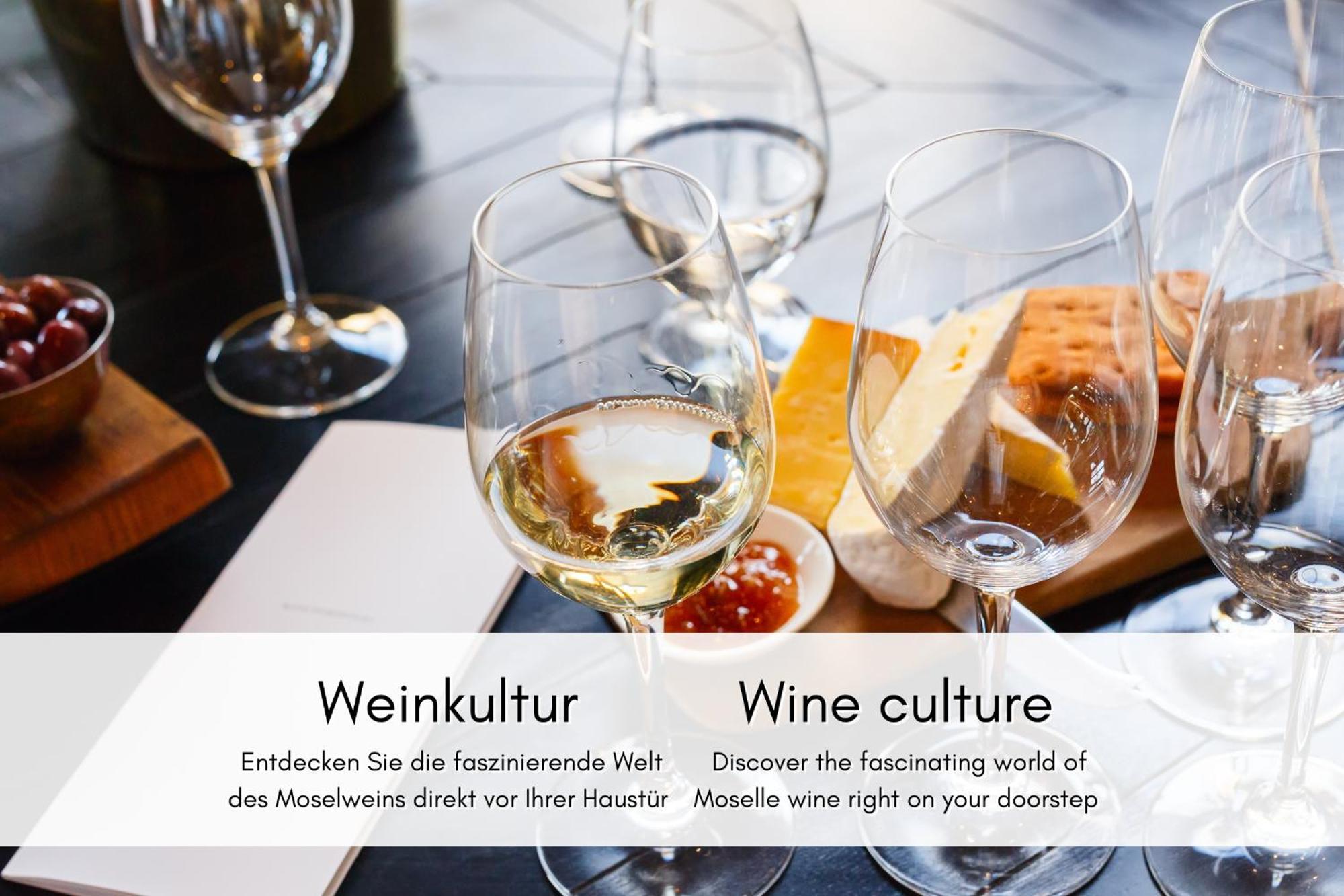 Apartament Winzerhaus Am Calmont - Terrasse Der Ruhe Bremm Zewnętrze zdjęcie